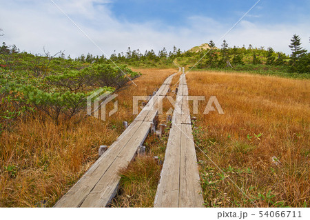 秋の尾瀬 オヤマ沢田代から北側の至仏山方面眺望 54066711