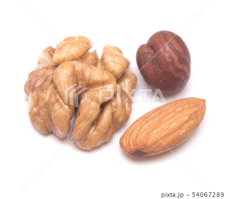 nuts nuts 54067289