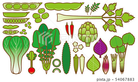 野菜_バリエーション 野菜_バリエーション 54067883