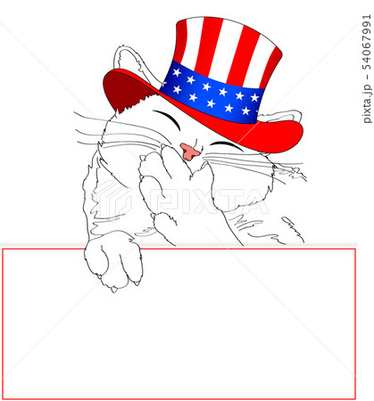 Cute cartoon funny cat with American hat.  54067991