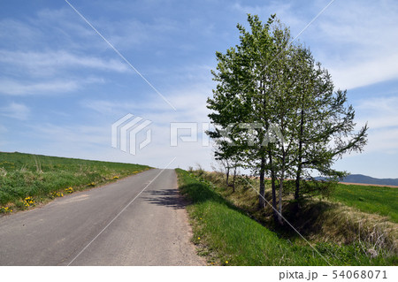 北海道の道路 54068071