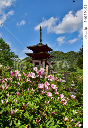 長谷寺 長谷寺 54069191
