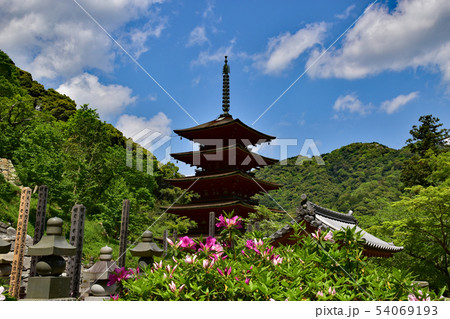 長谷寺 54069193
