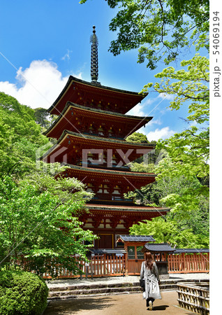 長谷寺 54069194