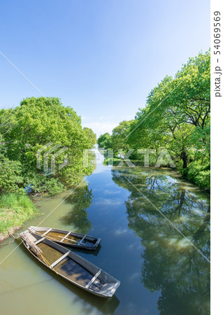 渡良瀬遊水地　渡良瀬川と朽ちた船　春 54069569