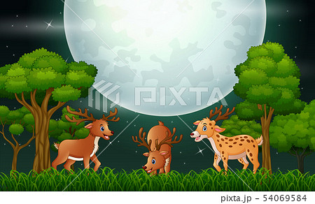 Deer cartoon playing on the night landscape Deer cartoon playing on the night landscape 54069584