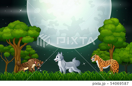 A different animal in the jungle at night A different animal in the jungle at night 54069587