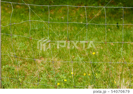 Closeup of metal fence made of thread Closeup of metal fence made of thread 54070679