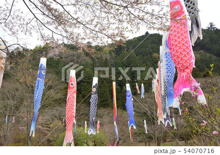 夕やけ小やけふれあいの里の春はこんな感じ　八王子市 54070716