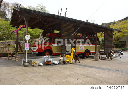 夕やけ小やけふれあいの里の春はこんな感じ 八王子市 夕やけ小やけふれあいの里の春はこんな感じ 八王子市 54070735