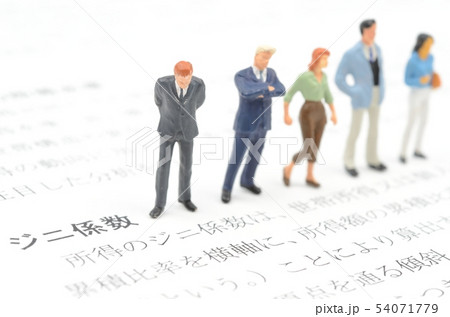 ジニ係数 54071779