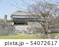 地震後の熊本城 54072617