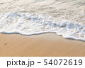 波 54072619