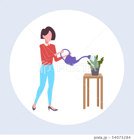 housewife pouring water in domestic potted plant woman holding watering can doing housework concept housewife pouring water in domestic potted plant woman holding watering can doing housework concept 54073284