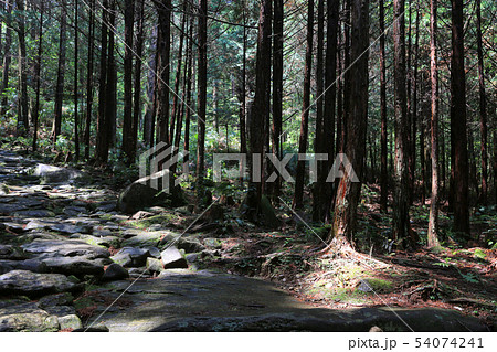 馬越峠11 馬越峠11 54074241