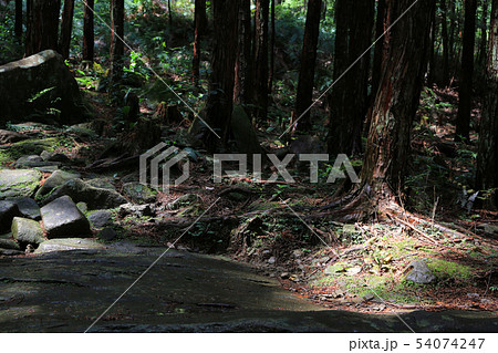 馬越峠16 馬越峠16 54074247