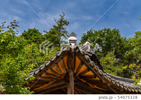 屋根 タイル 土 54075328