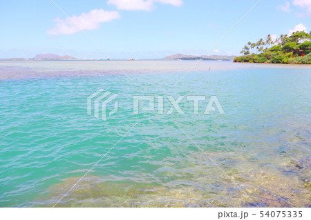 ハワイ　オアフ島の海岸 54075335