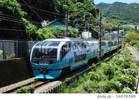 あじさいの線路沿いを走る特急「スーパービュー踊り子」号 54076269
