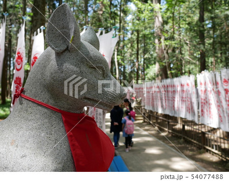 豊川稲荷 霊狐塚 豊川稲荷 霊狐塚 54077488
