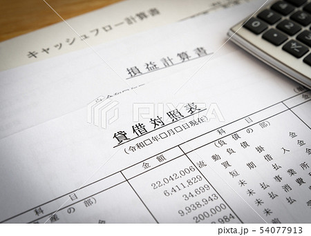 貸借対照表 損益計算書 キャッシュフロー計算書 決算書 収支報告 貸借対照表 損益計算書 キャッシュフロー計算書 決算書 収支報告 54077913