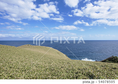 奄美大島 宮古崎 東シナ海 奄美の景勝地 奄美大島 宮古崎 東シナ海 奄美の景勝地 54078505