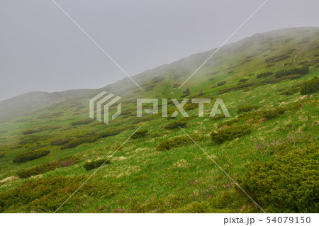 The mountain in the cloud and fog 54079150