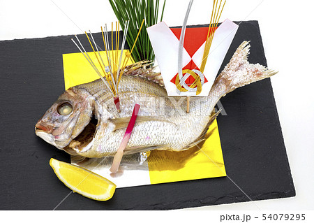 祝い鯛 54079295