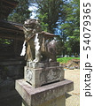 狛犬 54079365