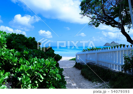 ハワイ：ラニカイビーチ　青く綺麗な空・海、遠浅の綺麗な砂浜への抜け道 54079393