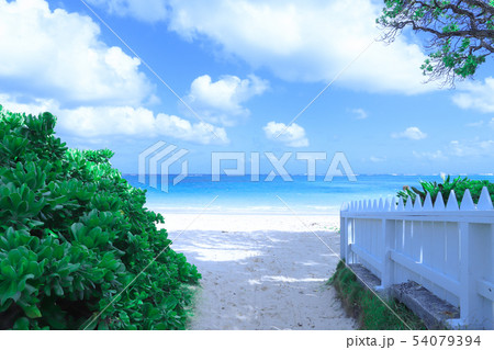 ハワイ：ラニカイビーチ　青く綺麗な空・海、遠浅の綺麗な砂浜への抜け道 54079394