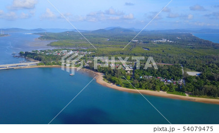 Aerial view of boats with natural forest trees, 54079475
