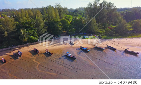 Aerial view of boats with natural forest trees, Aerial view of boats with natural forest trees, 54079480
