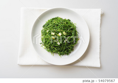 ハーブ 東洋食品 東洋飲食 54079567