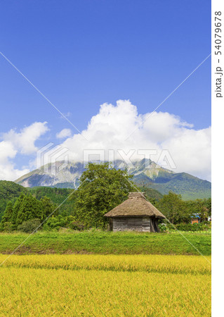 稲穂と茅葺き小屋のある風景〜秋　9月 54079678