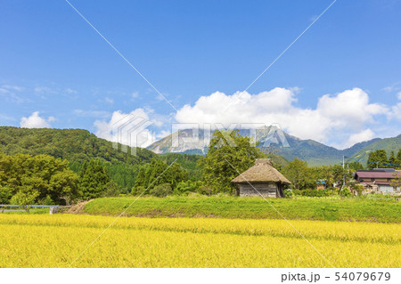 稲穂と茅葺き小屋のある風景〜秋 9月 稲穂と茅葺き小屋のある風景〜秋 9月 54079679