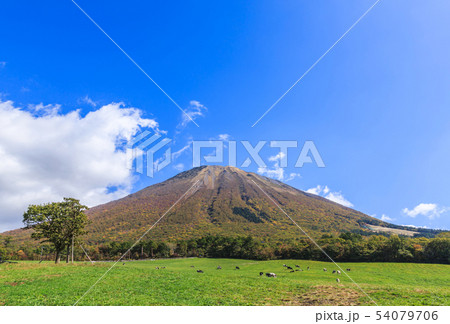 伯耆大山　牛の放牧場　10月 54079706