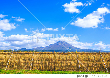 稲干し　伯耆大山　田園風景　10月 54079708