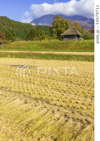稲穂と茅葺き小屋のある風景〜秋　10月 54079711