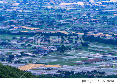 （富山県）医王山から望む、砺波の散居村 54079848