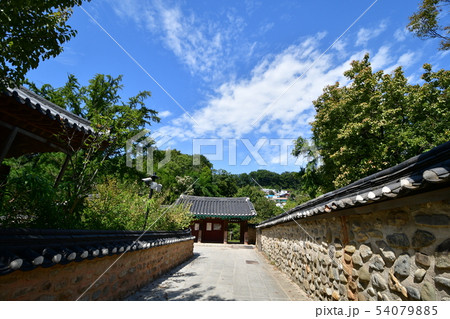 道 塀 建物 54079885