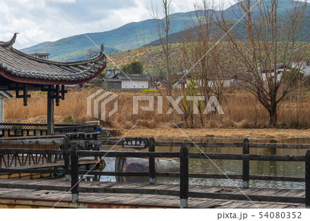 中国 チャイナ 磁器 54080352