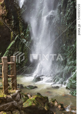 中国 チャイナ 磁器 54080550