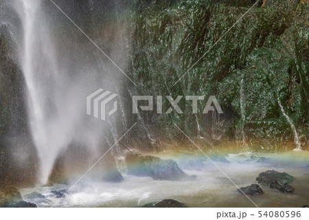 中国 チャイナ 磁器 54080596