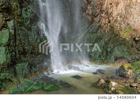 中国 チャイナ 磁器 54080604