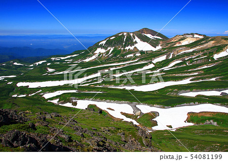 夏の白雲岳山頂から見る大雪山の雪渓 54081199