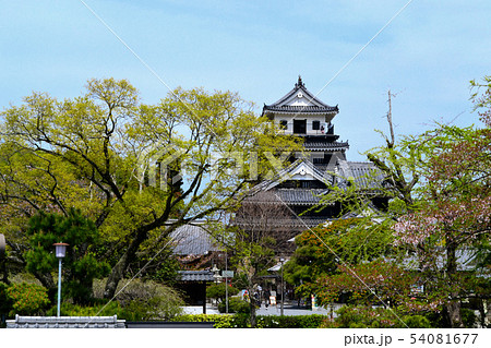 大分 中津の観光スポット 中津城公園の写真素材