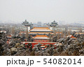 北京の雪 54082014