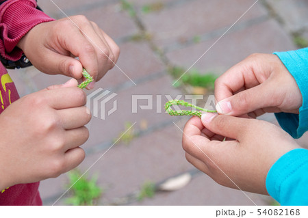 オオバコ相撲 勝敗 オオバコ相撲 勝敗 54082168