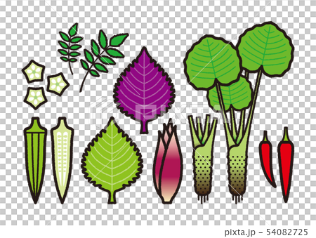 野菜バリエーション 和食の薬味セットのイラスト素材